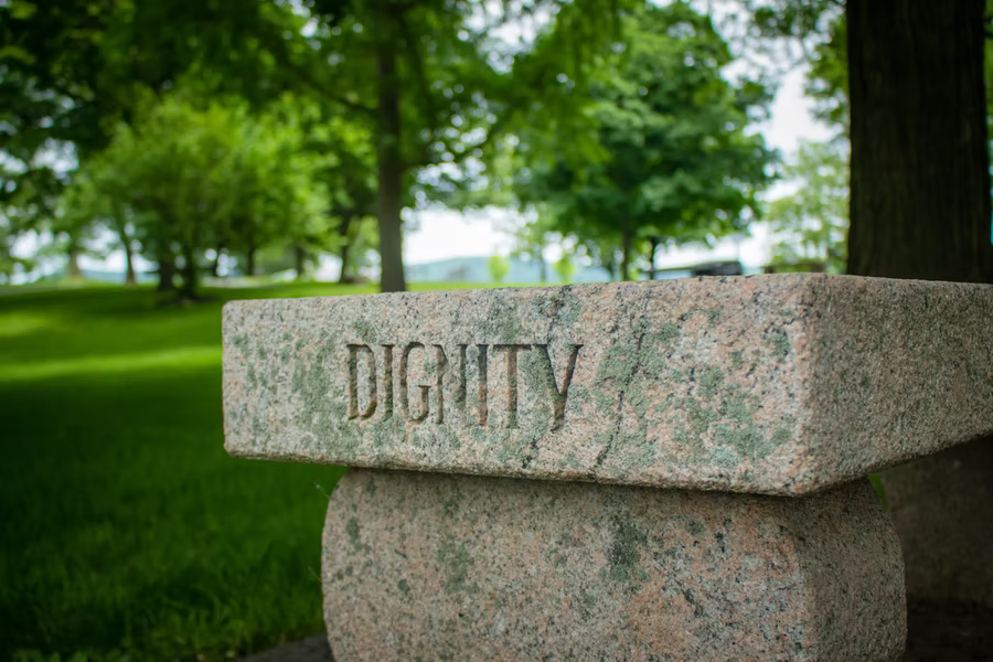 Low-Code vs. No-Code: Which is Right for Your 2025 Project?